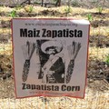 Zapatista_corn-thumb