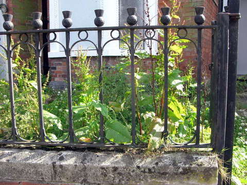 090623_g9_154-medium