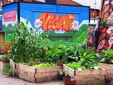 090731_g9_045-medium