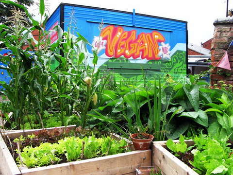 090731_g9_048-medium