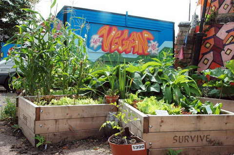 090808_d70_006_-medium