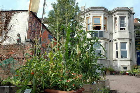 090808_d70_021_-medium