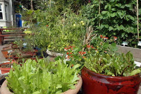 090808_d70_041_-medium