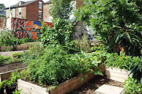 090808_d70_063_-medium