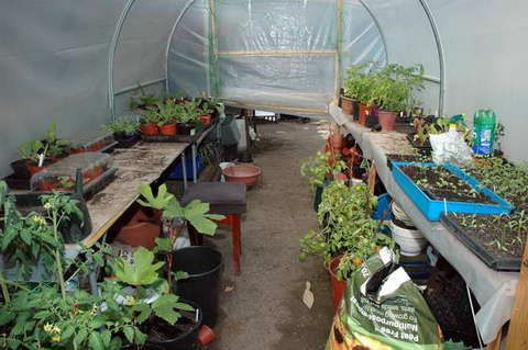 090808_d70_204_-medium