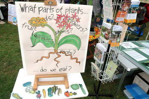 090927_d70_039-medium