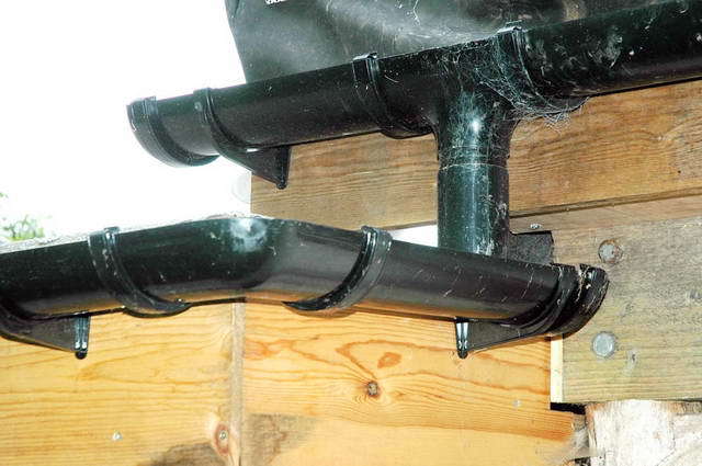 100720_d70_082-medium