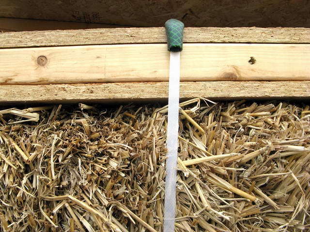 100726_g9_017-medium