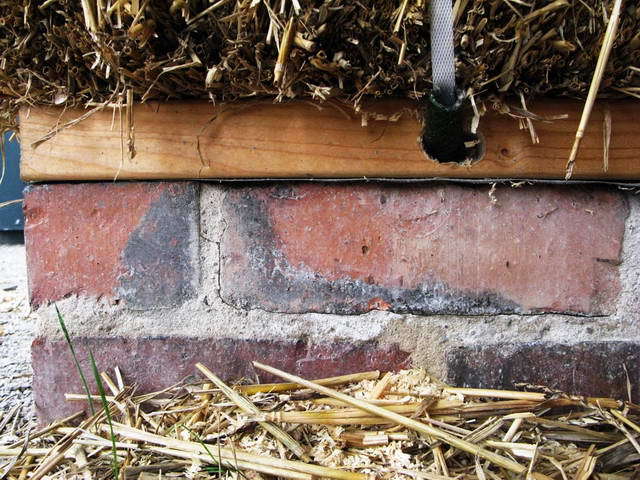 100726_g9_043-medium