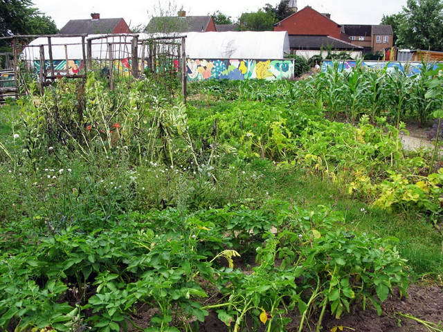 100726_g9_082-medium