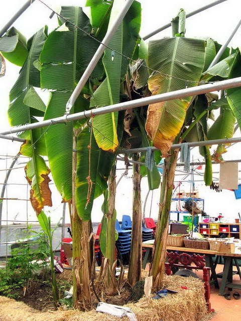 100726_g9_125-medium