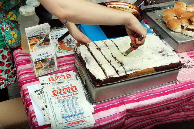 100730_d70_035-medium