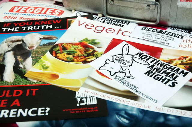 100730_d70_066-medium