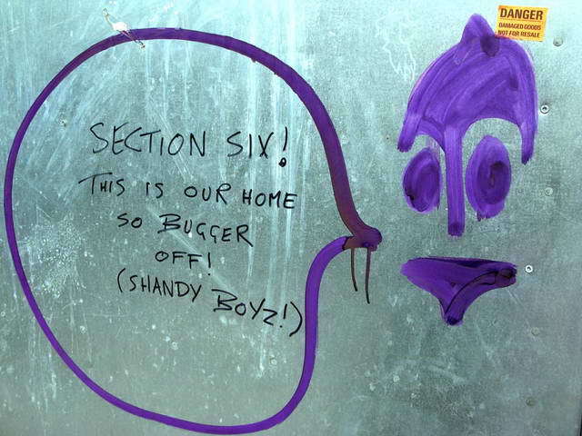 100803_g9_039-medium