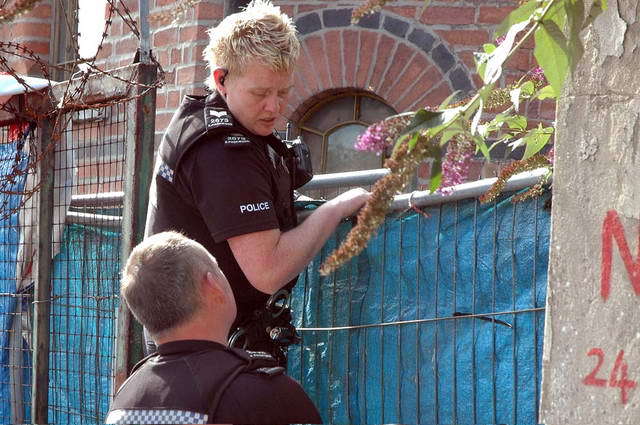 100825_d70_038-medium