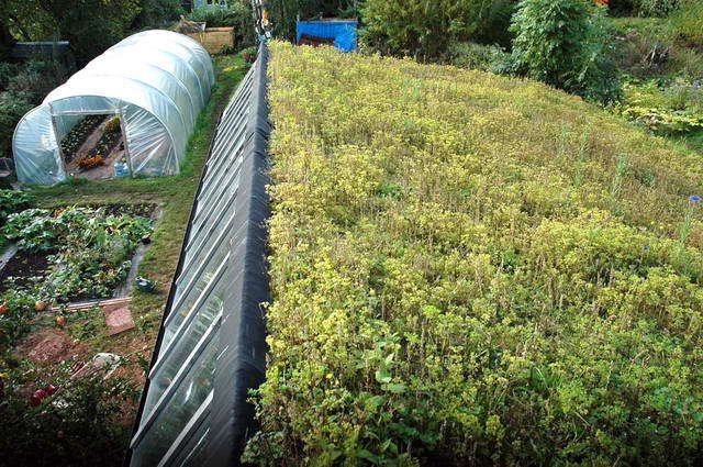 101007_d70_014-medium