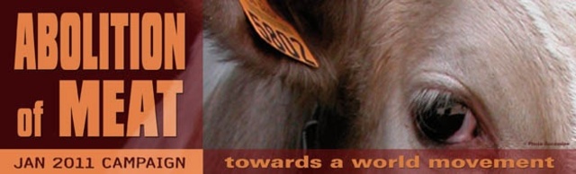 Bandeau_meat_abo-medium