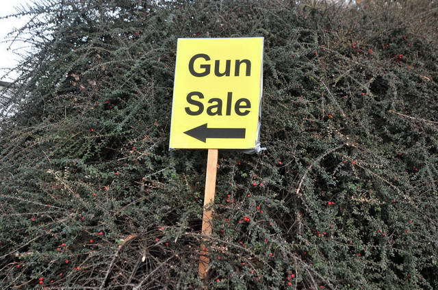 110314_d300s_155-medium