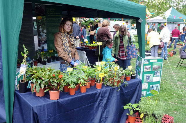 110522_d300s_048-medium