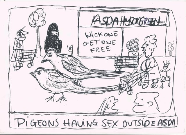 Pigeons-asda_550-medium
