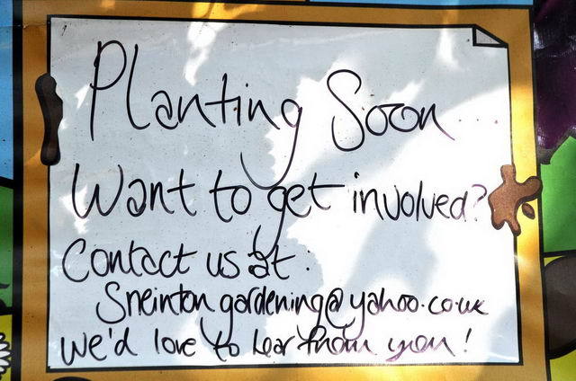 110702_d300s_661-medium