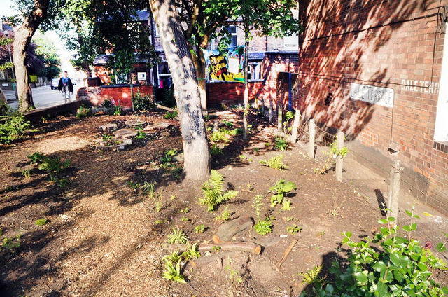 110702_d300s_670-medium