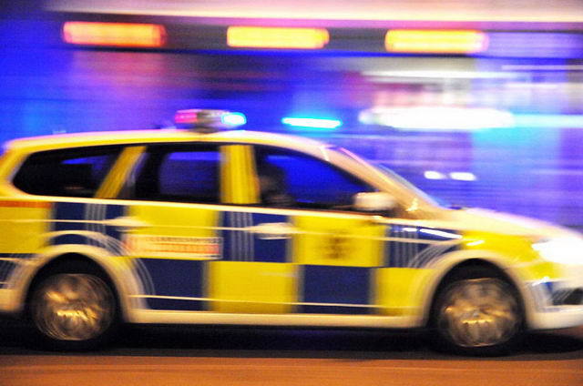 110809_d300s_110-medium