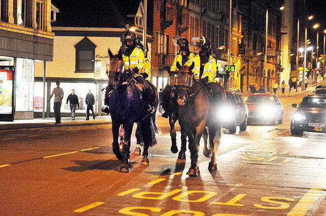 110809_d300s_235-medium