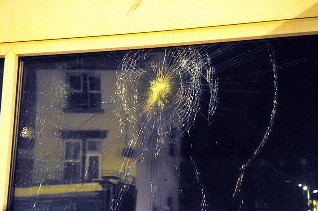 110809_d300s_160-medium