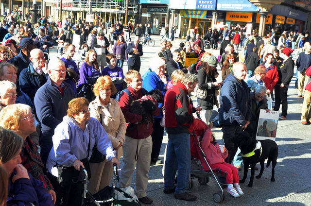 111022_d300s_003-medium