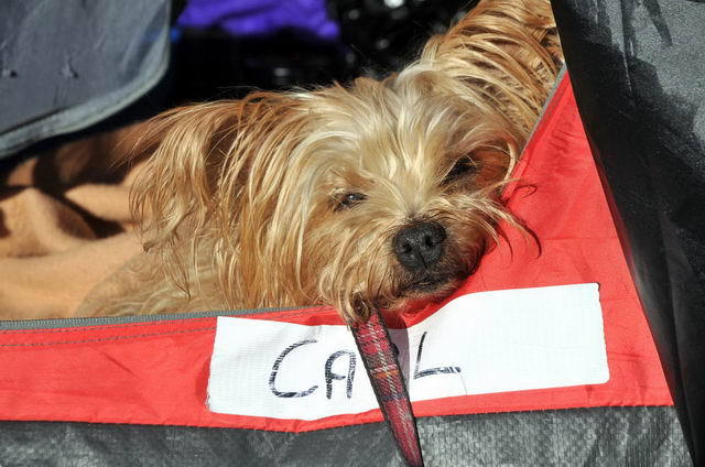 111022_d300s_091-medium