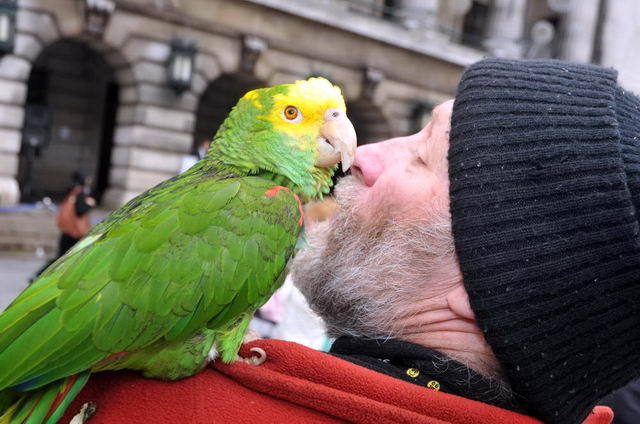 111111_d300s_072-medium