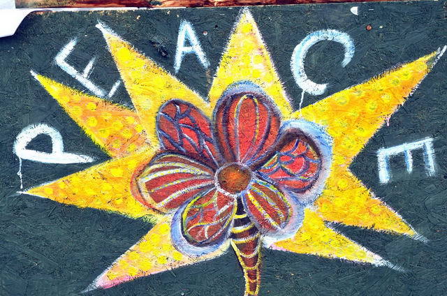 120228_d300s_100-medium