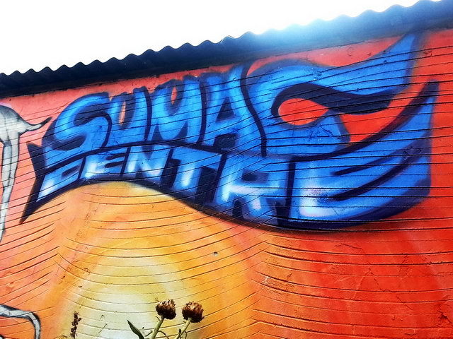 120808_gs3_001-medium