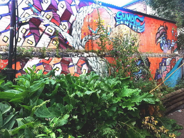 120808_gs3_007-medium