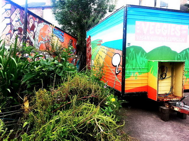 120808_gs3_008-medium