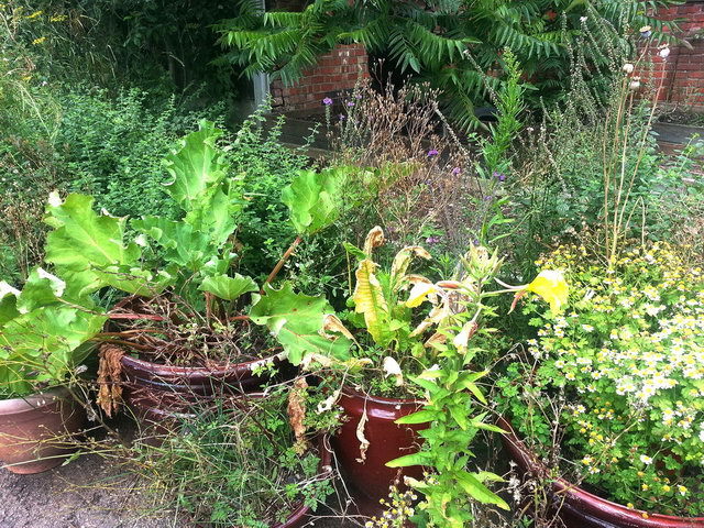 120808_gs3_012-medium