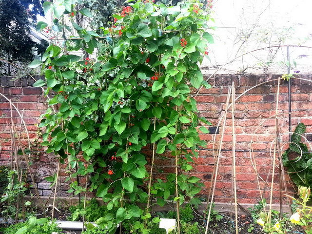 120808_gs3_016-medium