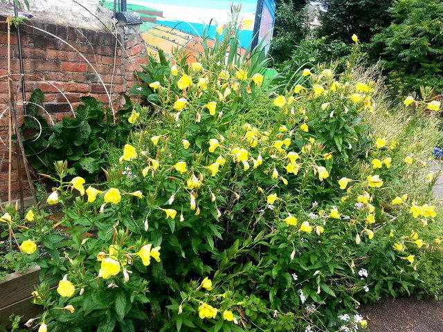 120808_gs3_017-medium