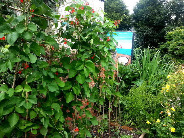 120808_gs3_018-medium