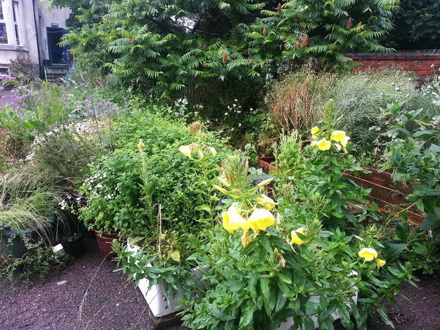 120716_gs3_021-medium