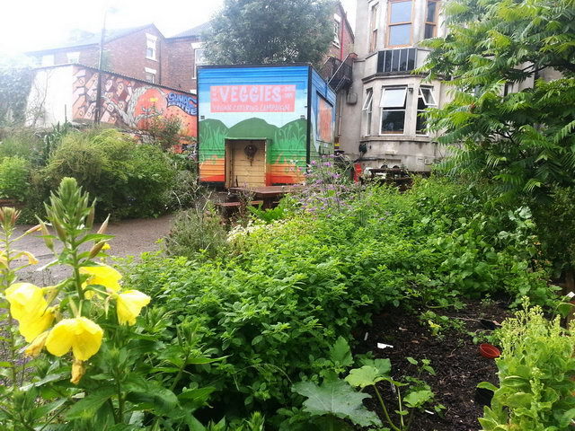 120716_gs3_023-medium