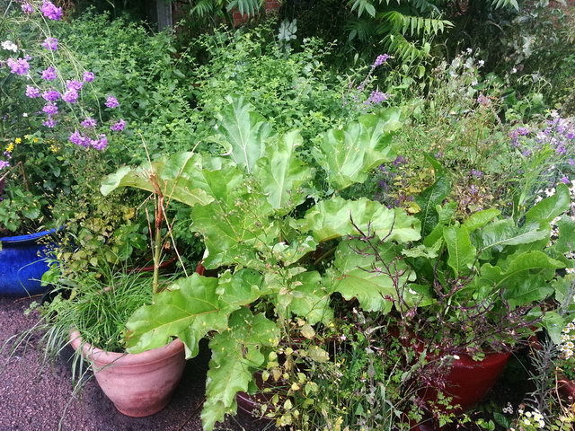 120716_gs3_026-medium