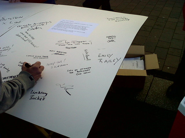 Card_begins_to_fill-medium