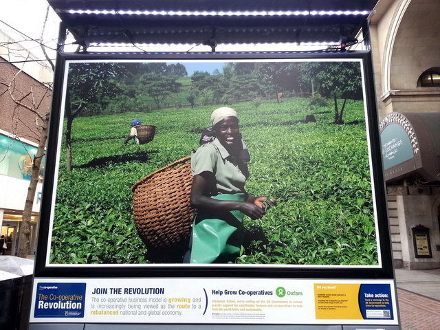 130117_gs3_016-medium