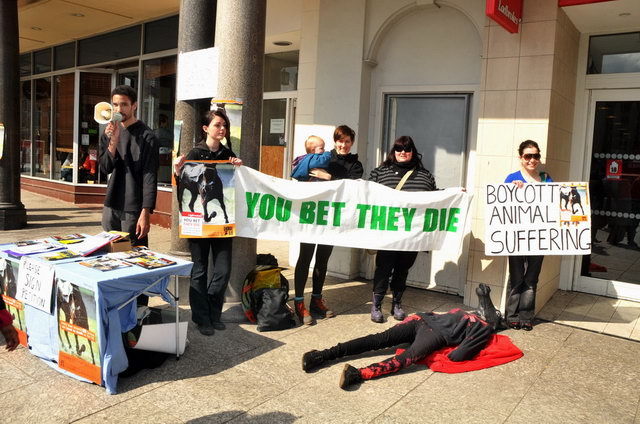 130406_d300s_002-medium