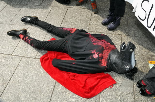 130406_d300s_009-medium