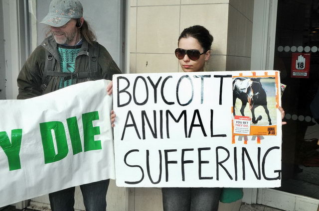 130406_d300s_012-medium