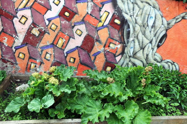 130502_d300s_008-medium