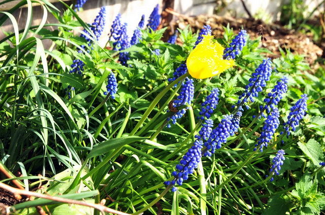 130502_d300s_017-medium